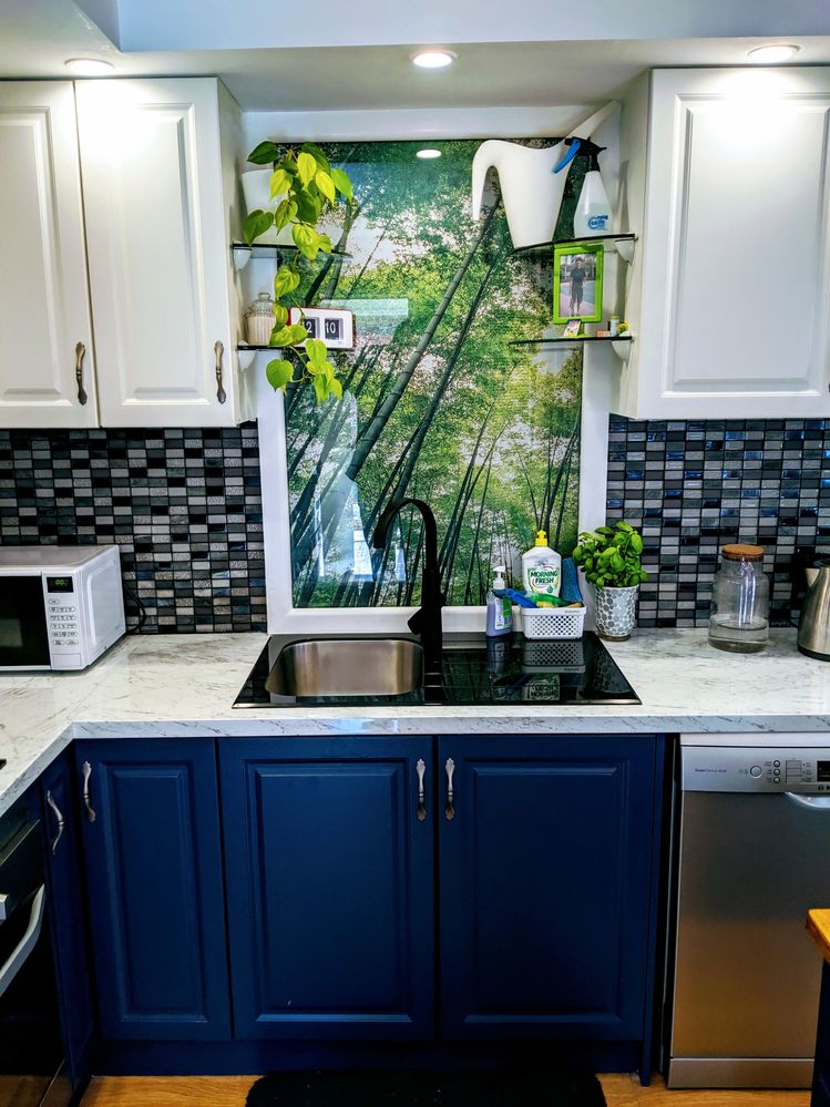 MVIMG_20190805_121255~2.jpg MVIMG_20190805_121255~2.jpg