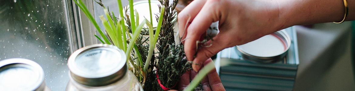 KitchenHerbs.jpg KitchenHerbs.jpg