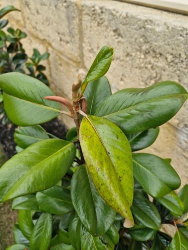 20251106_094538.jpg 20251106_094538.jpg