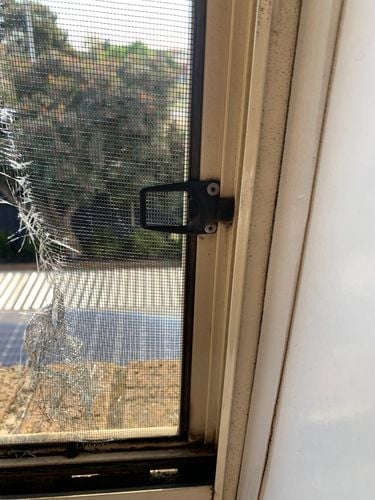 IMG_8738.jpeg IMG_8738.jpeg