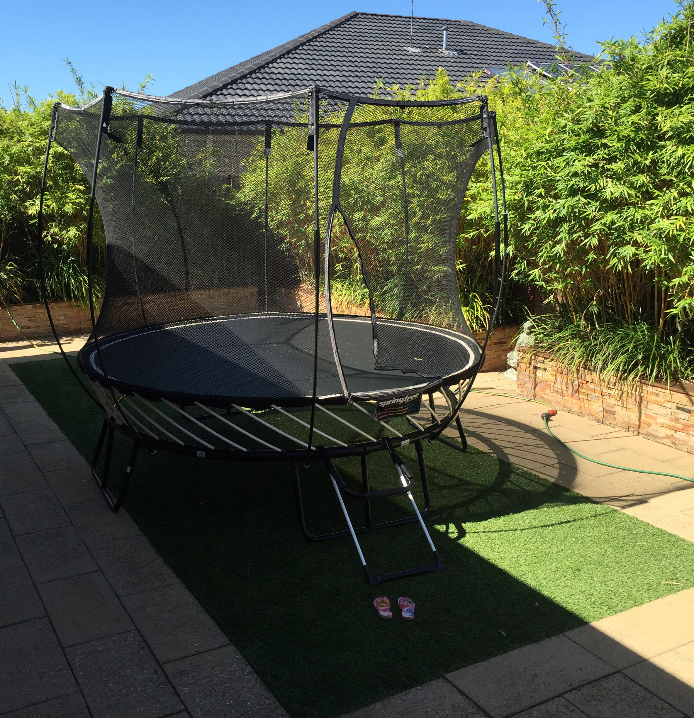 IMG_3384.JPG IMG_3384.JPG