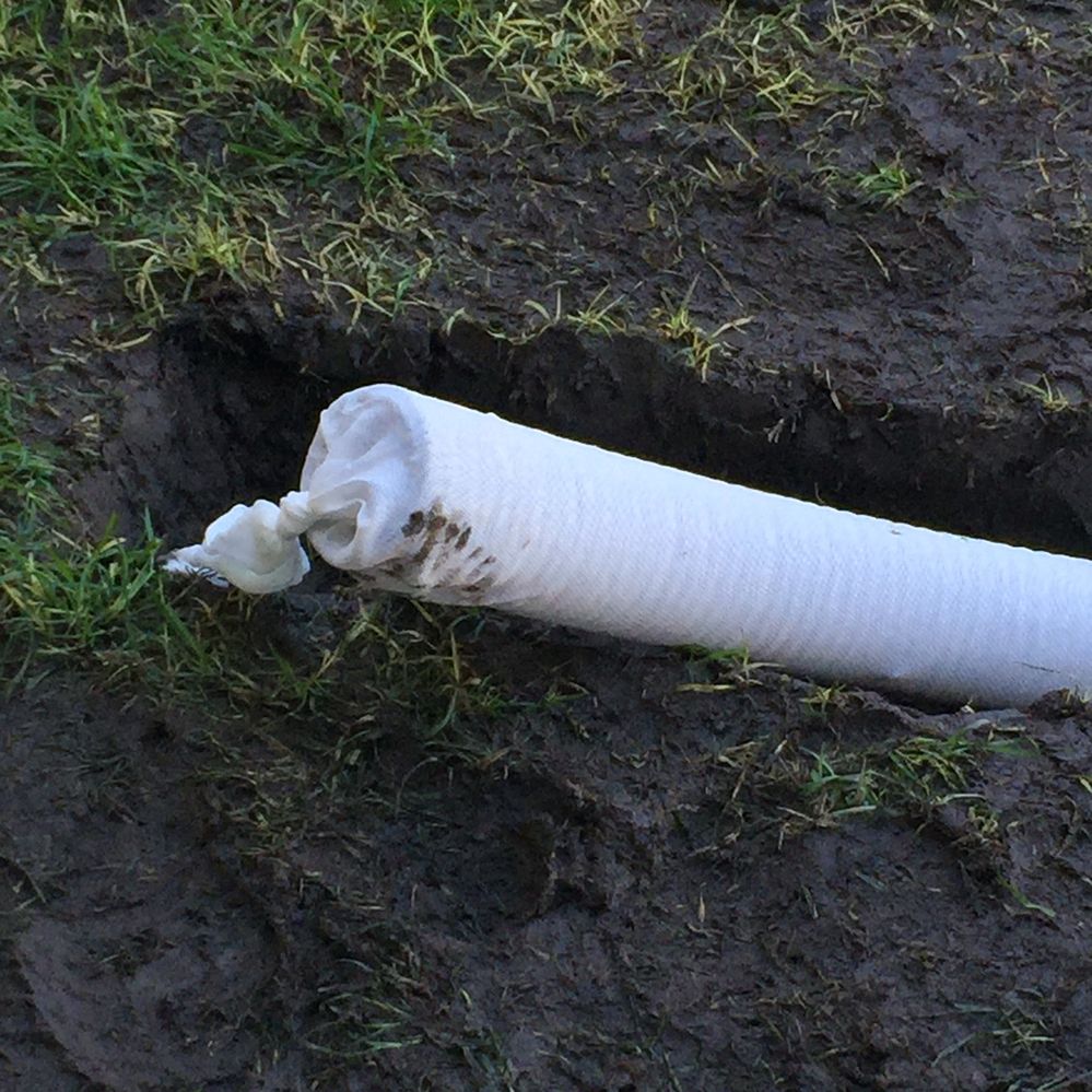 lawn-5.jpg lawn-5.jpg