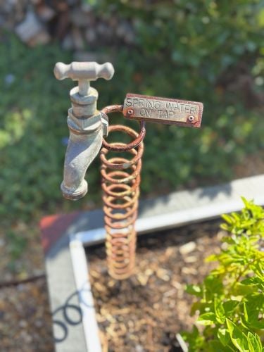 IMG_4904.jpeg IMG_4904.jpeg