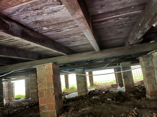 IMG_2695.jpeg IMG_2695.jpeg