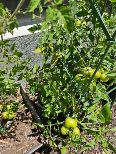 1000110472.jpg 1000110472.jpg