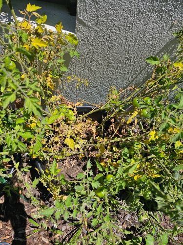 1000110467.jpg 1000110467.jpg