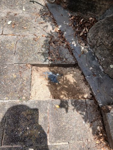 1000015475.jpg 1000015475.jpg