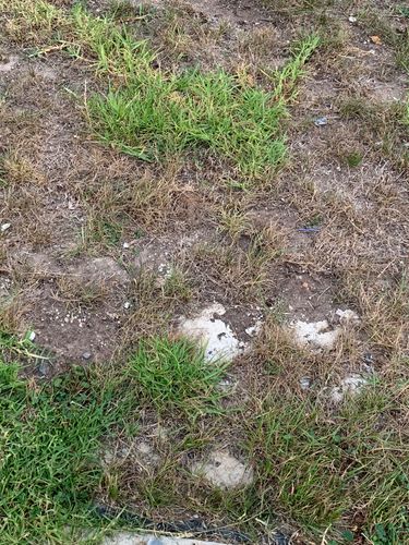 IMG_1494.jpeg IMG_1494.jpeg