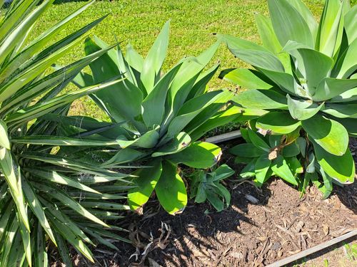 1000014044.jpg 1000014044.jpg