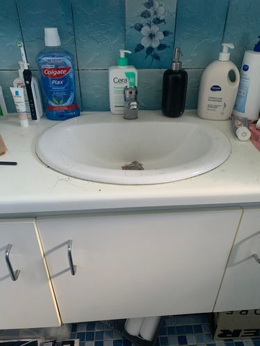 IMG_1276.jpeg IMG_1276.jpeg