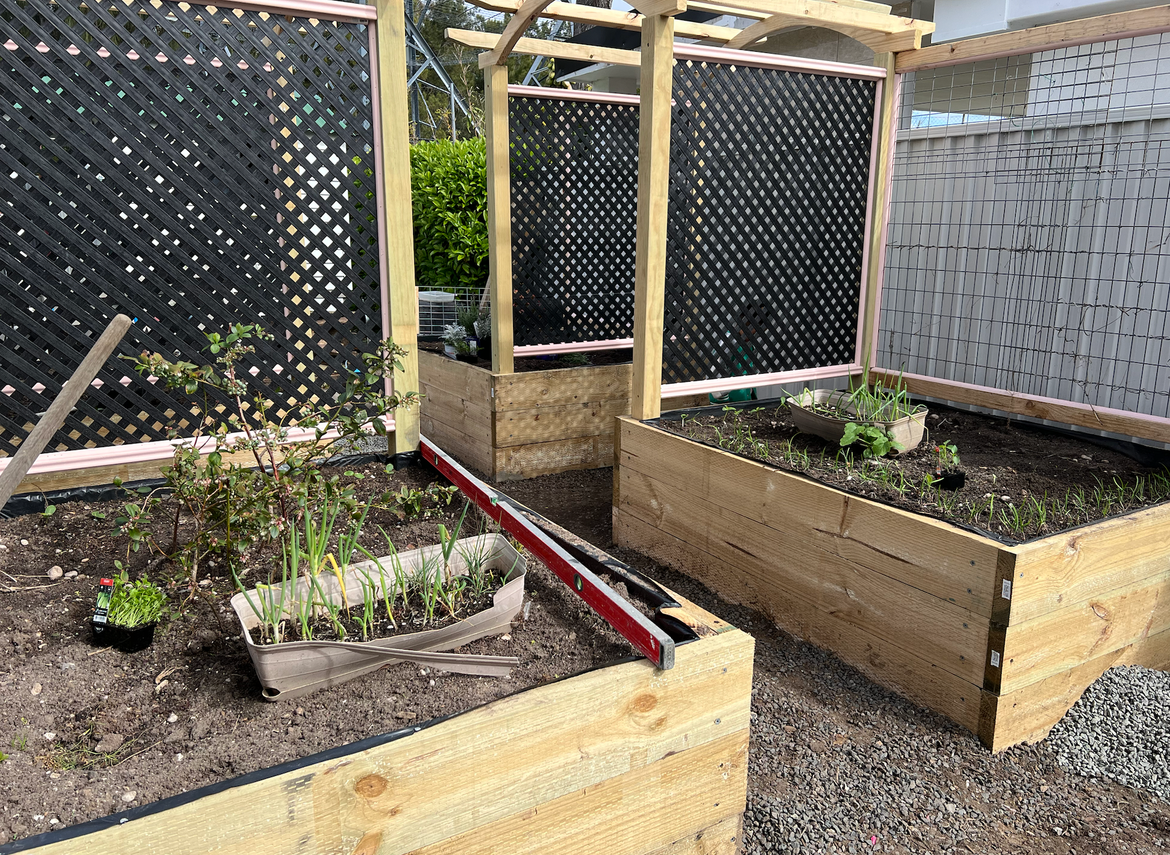 Screenshot 2024-12-18 at 4.23.23 PM.png Screenshot 2024-12-18 at 4.23.23 PM.png