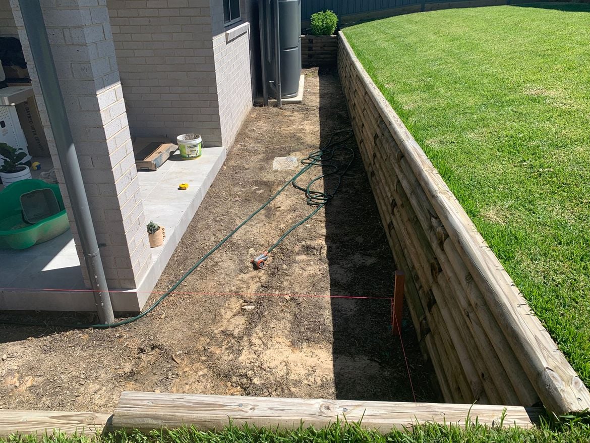 IMG_1539.JPG IMG_1539.JPG