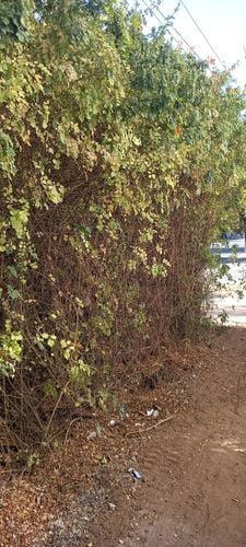 20240525_122120.jpg 20240525_122120.jpg