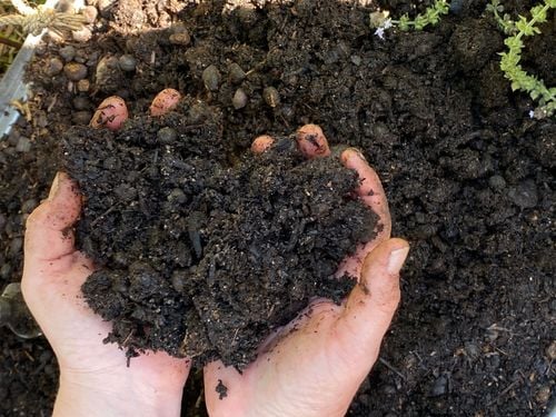 0DD4D3DF-59F6-4438-A0EB-CBF790ED3D99.jpeg 0DD4D3DF-59F6-4438-A0EB-CBF790ED3D99.jpeg