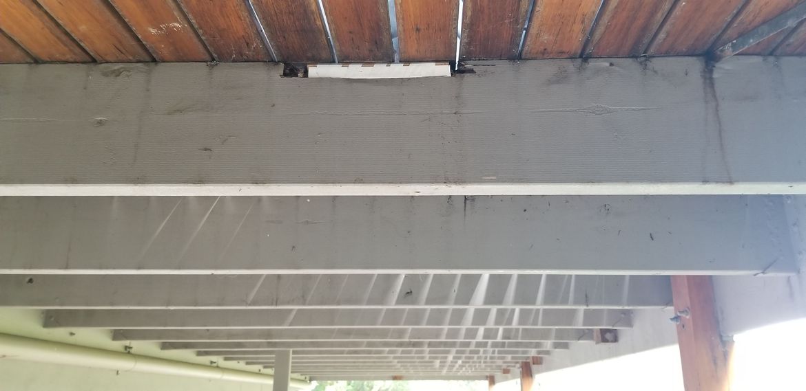 20240418_131226.jpg 20240418_131226.jpg