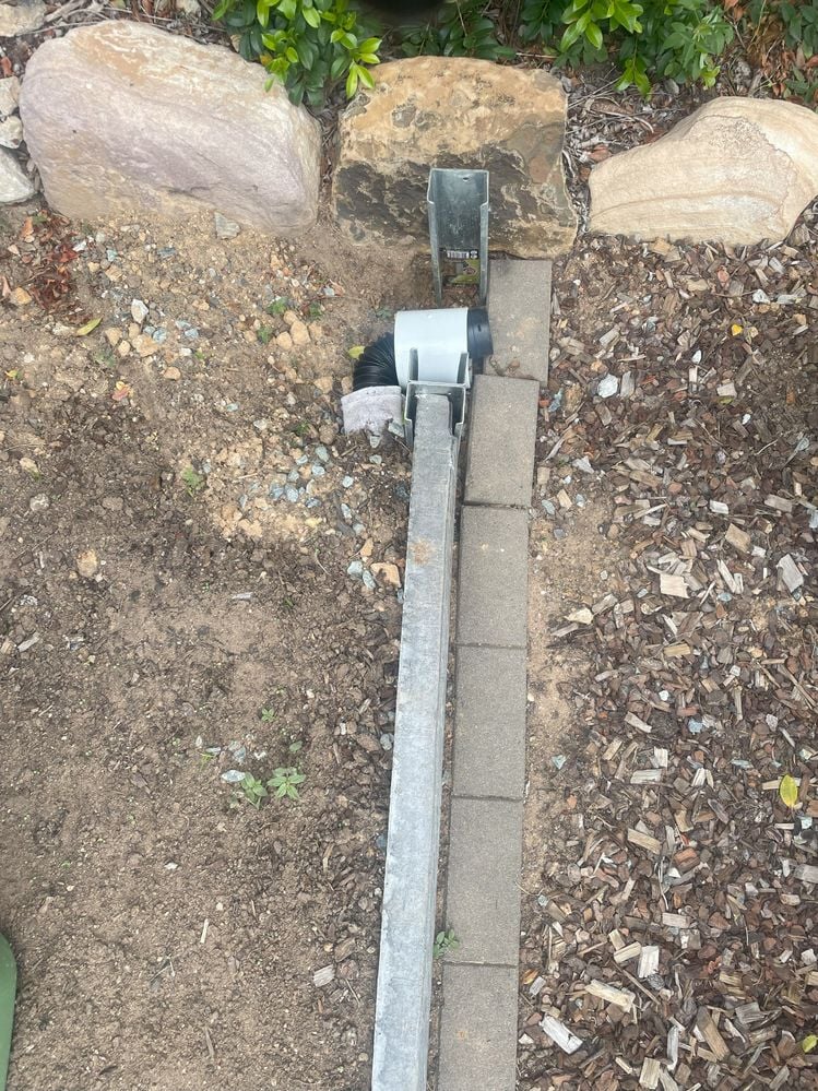 IMG_4586.jpeg IMG_4586.jpeg