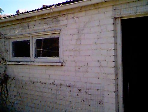 OLDSHED.jpg OLDSHED.jpg