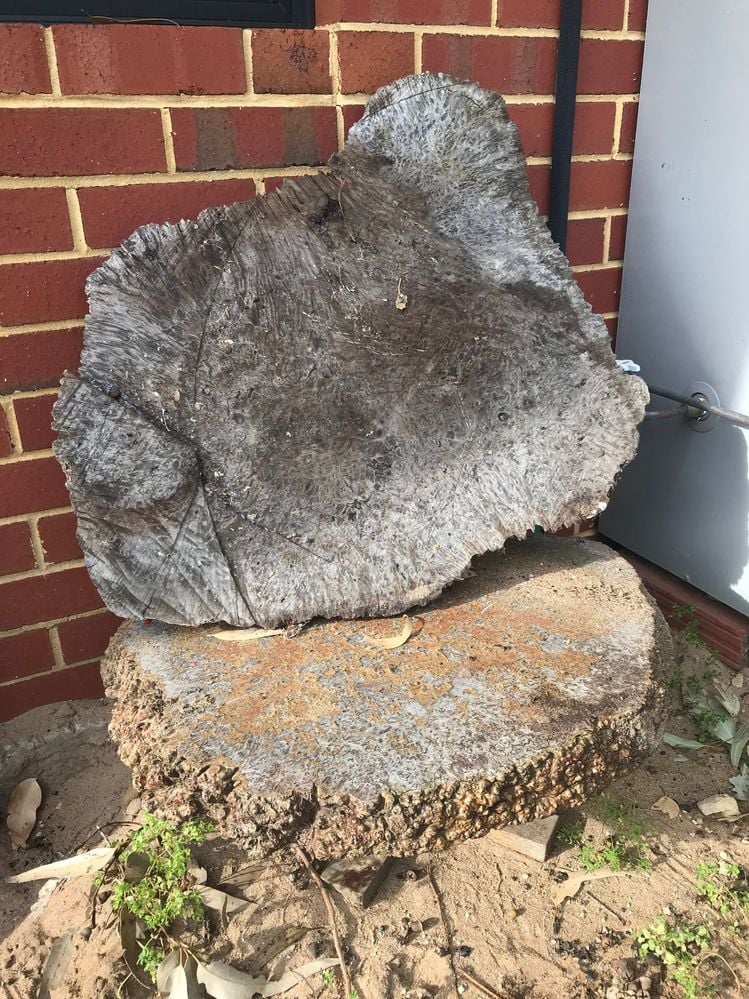 IMG_9859.jpg IMG_9859.jpg