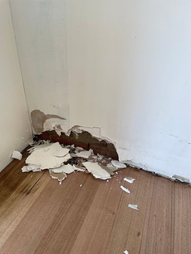 IMG_4355.jpeg IMG_4355.jpeg