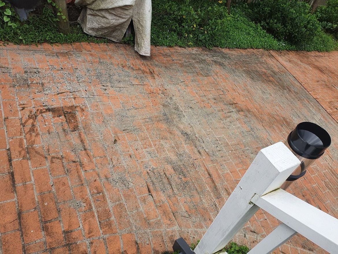 20220312_144519.jpg 20220312_144519.jpg