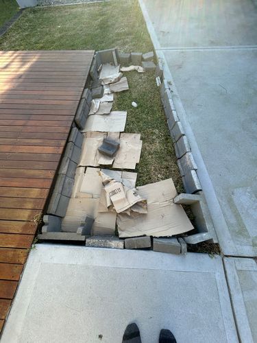 IMG_5580.jpeg IMG_5580.jpeg