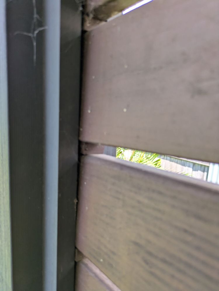 1000023308.jpeg 1000023308.jpeg