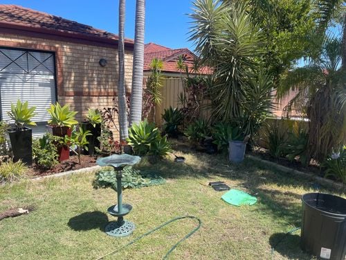 IMG_3322.jpeg IMG_3322.jpeg