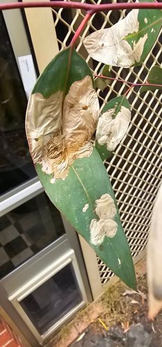 17311317573136409825228098089860.jpg 17311317573136409825228098089860.jpg