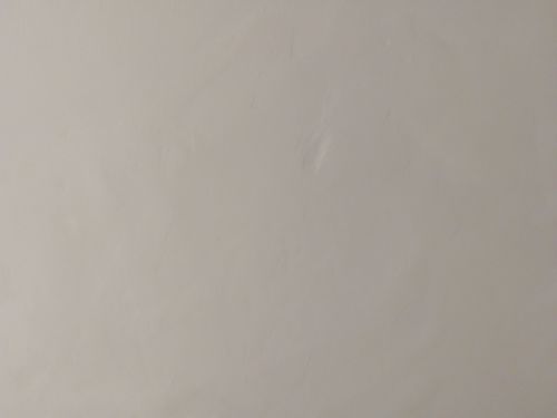 IMG_20250315_121919.jpg IMG_20250315_121919.jpg