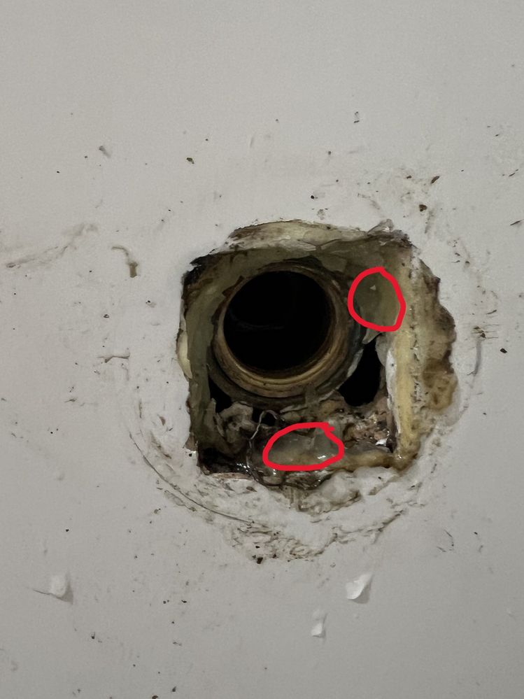 IMG_2397.jpg IMG_2397.jpg