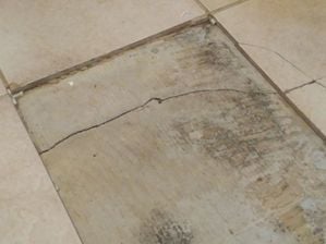 1000004552.jpg 1000004552.jpg