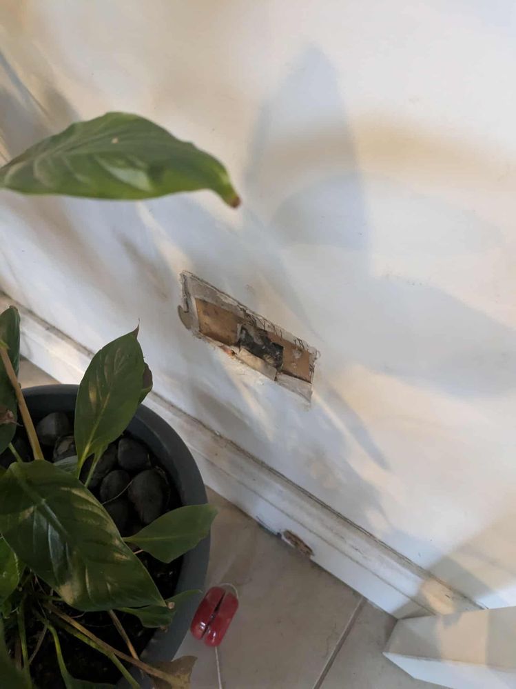 1cb5e6b2-5b37-458e-b26e-5d4b75bdc695.jpeg 1cb5e6b2-5b37-458e-b26e-5d4b75bdc695.jpeg