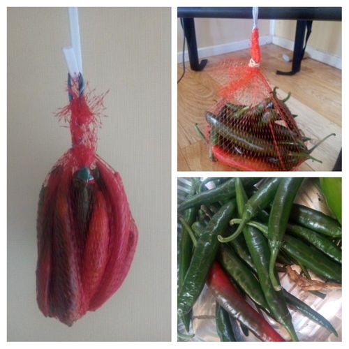 20210131_081354-COLLAGE.jpg 20210131_081354-COLLAGE.jpg