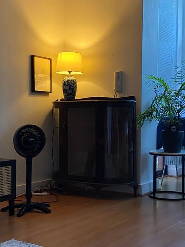 IMG_1375.jpeg IMG_1375.jpeg