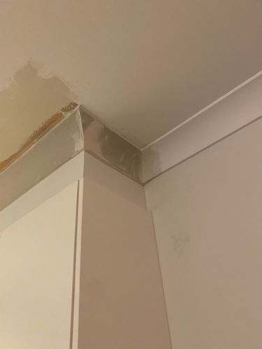 6FA72D1A-400D-40FB-9EDD-52DA193DF1A4.jpeg 6FA72D1A-400D-40FB-9EDD-52DA193DF1A4.jpeg