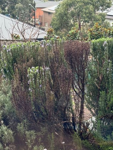 IMG_8059.jpeg IMG_8059.jpeg