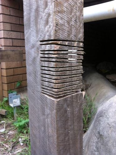 38 12-02-2013.jpg 38 12-02-2013.jpg