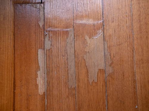 63C91246-1C49-4F78-9A89-CEFEFBD3A37D.jpeg 63C91246-1C49-4F78-9A89-CEFEFBD3A37D.jpeg