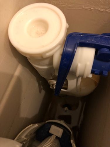 054998AF-9C9F-4522-9332-18703B86EAA9.jpeg 054998AF-9C9F-4522-9332-18703B86EAA9.jpeg