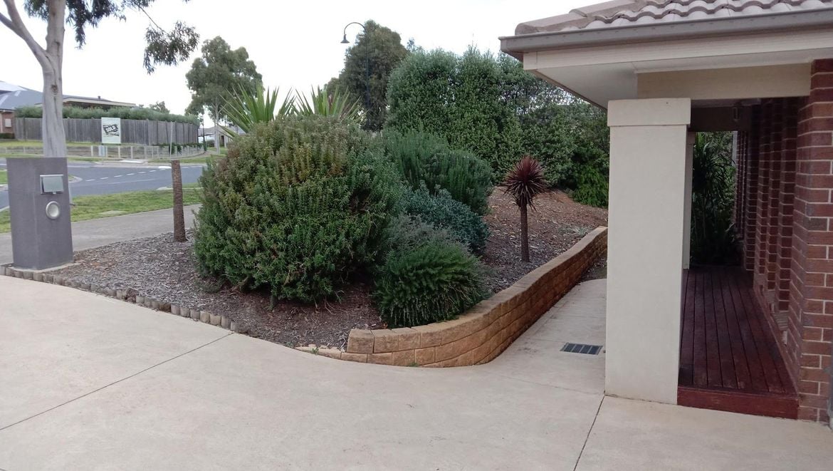 IMG_20200527_162326.jpg IMG_20200527_162326.jpg