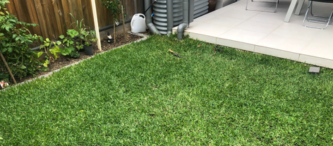 Janitha_5-1638829201022.png Janitha_5-1638829201022.png