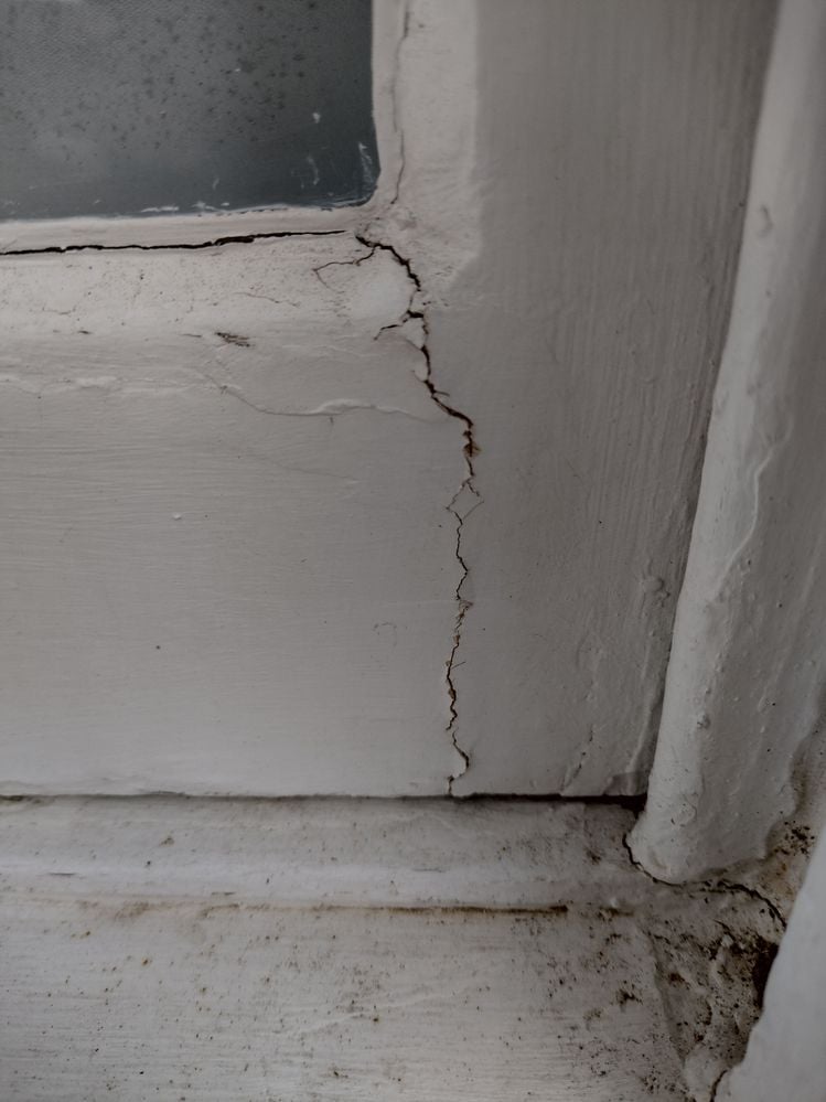 IMG_20231201_080933769_HDR.jpg IMG_20231201_080933769_HDR.jpg