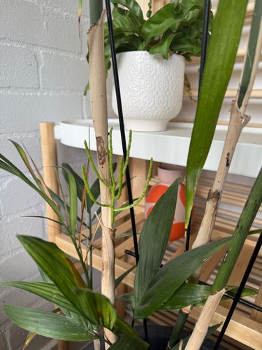 IMG_4047.jpeg IMG_4047.jpeg