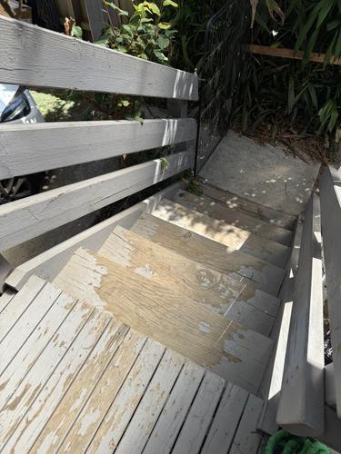 IMG_1382.jpeg IMG_1382.jpeg