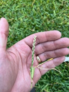 IMG_2399.JPEG IMG_2399.JPEG