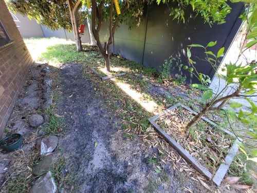 20220131_112535.jpg 20220131_112535.jpg