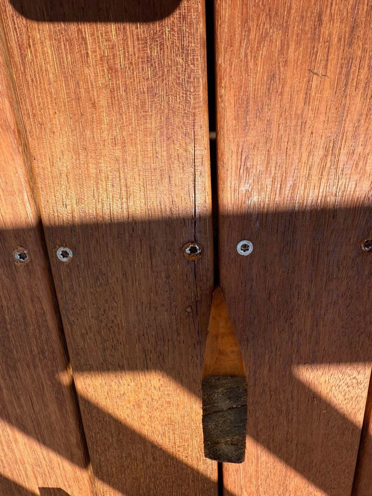 462567022_904326755139941_3623503450368603778_n.jpg 462567022_904326755139941_3623503450368603778_n.jpg