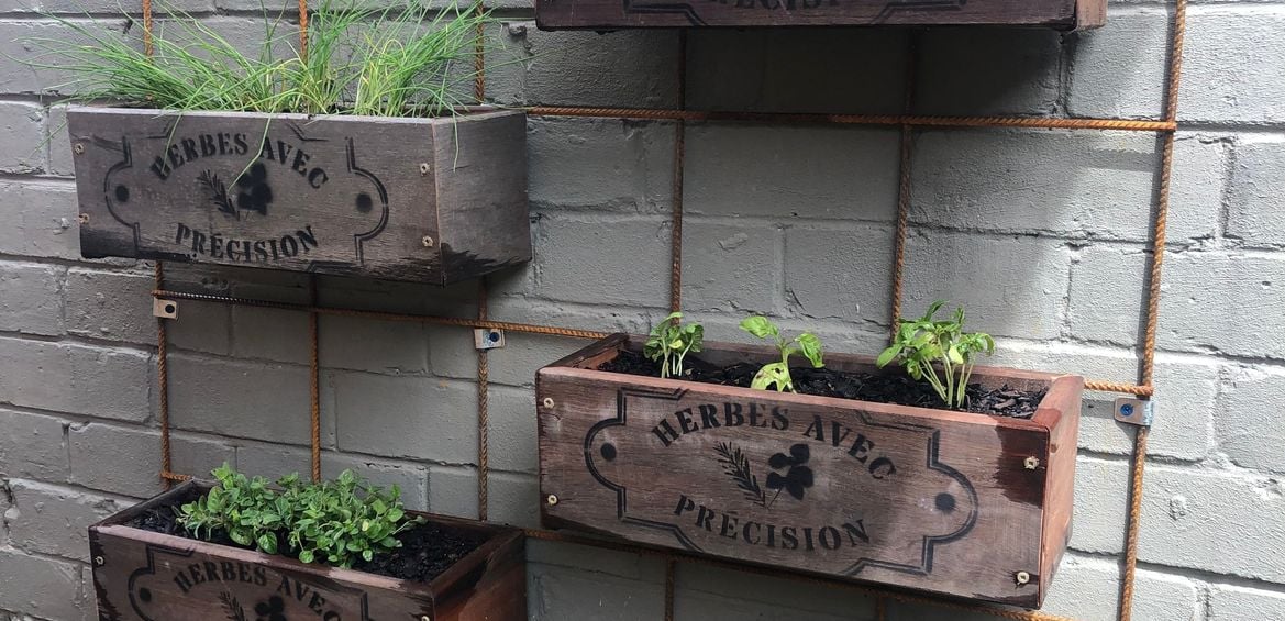 vertical garden using reo.jpeg vertical garden using reo.jpeg