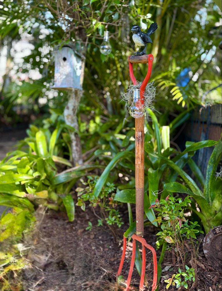 96b22733-519b-448f-9f56-f8c3b41fe111.jpg 96b22733-519b-448f-9f56-f8c3b41fe111.jpg