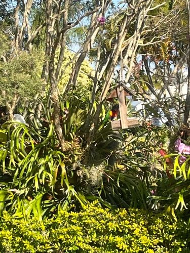 IMG_9372.jpeg IMG_9372.jpeg